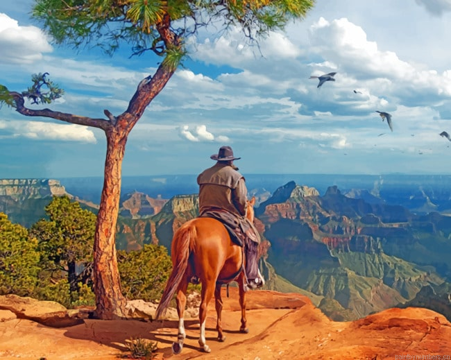 Grand Canyon And Cowboy Painting By Numbers.png