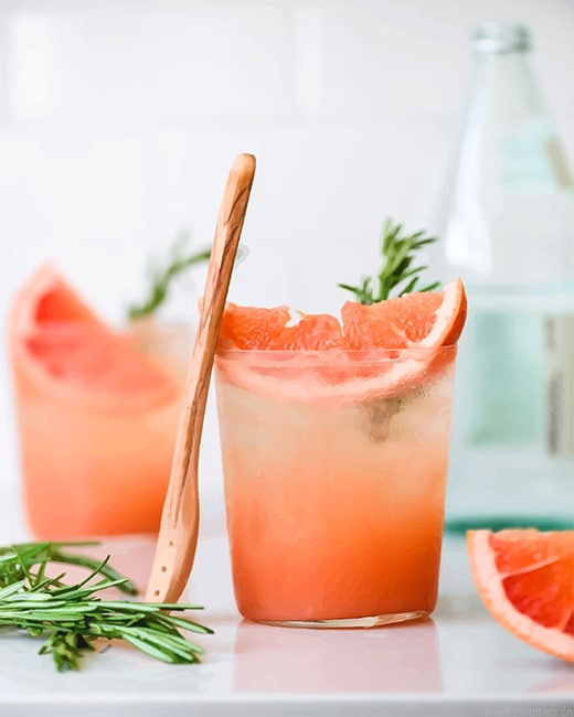 Grapefruit Cocktail Painting By Numbers.png
