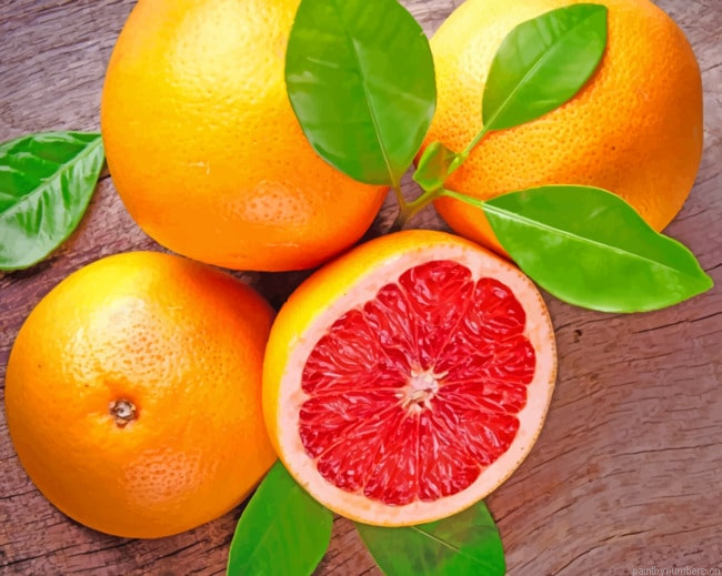 Grapefruit Fruit Food Painting By Numberss.png
