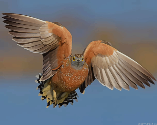 Gray And Brown Bird Flying Painting By Numberss.png