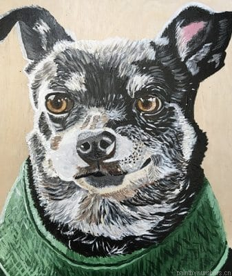 Gray Chihuahua Painting By Numbers.png