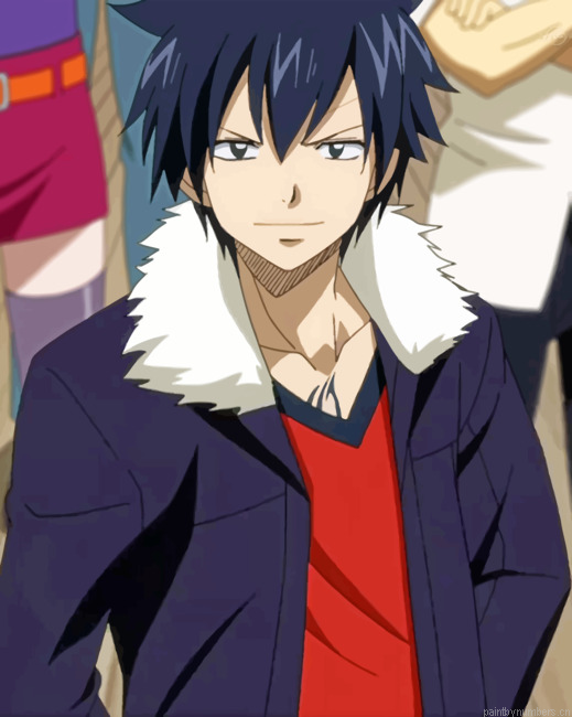 Gray Fairy Tail Painting By Numbers.png