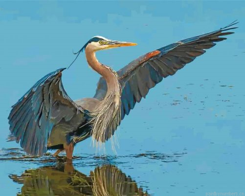 Great Blue Heron Bird Painting By Numbers.png
