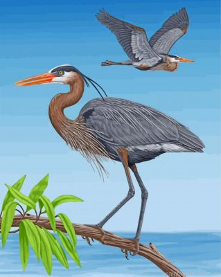 Great Blue Heron Birds Painting By Numbers.png