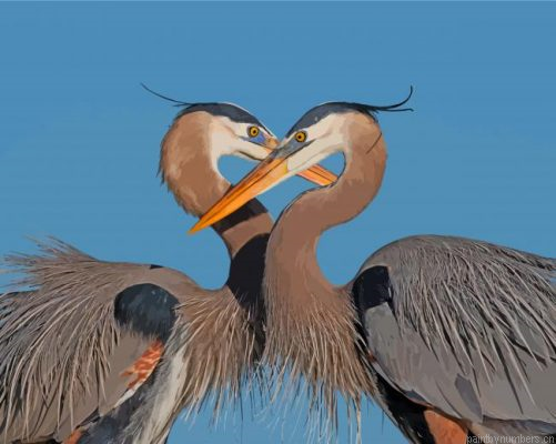 Great Blue Heron Couple Painting By Numbers.png