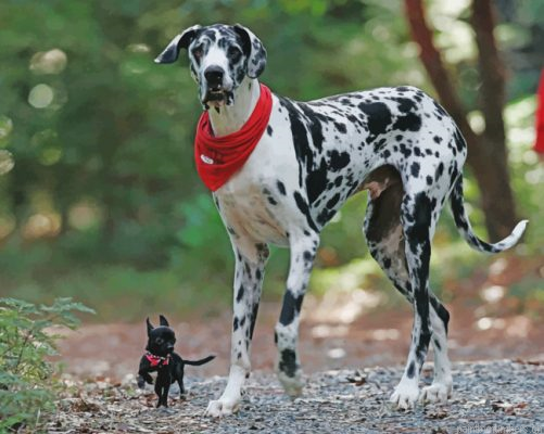 Great Dane Dog Animal Painting By Numbers.png