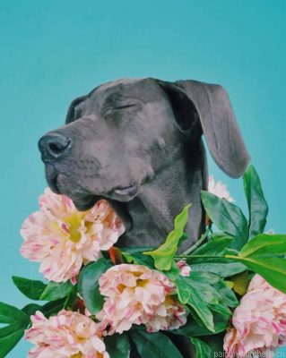 Great Dane With Flowers Crown Painting By Numberss.png