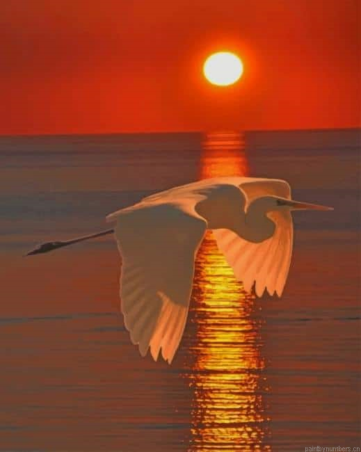 Great Egret Bird Painting By Numberss.png