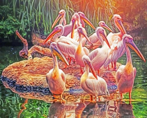 Great White Pelicans Painting By Numbers.png