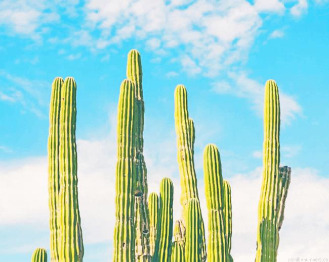 Green Cactus In Nature Plants Painting By Numberss.png