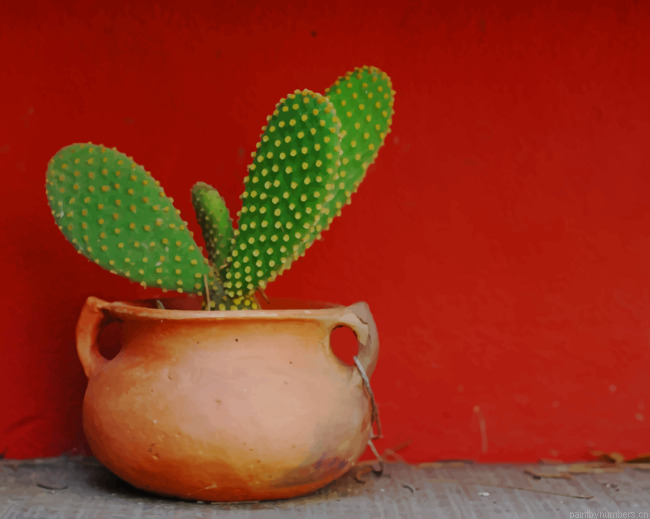 Green Cactus In Pot Plants Painting By Numberss.png