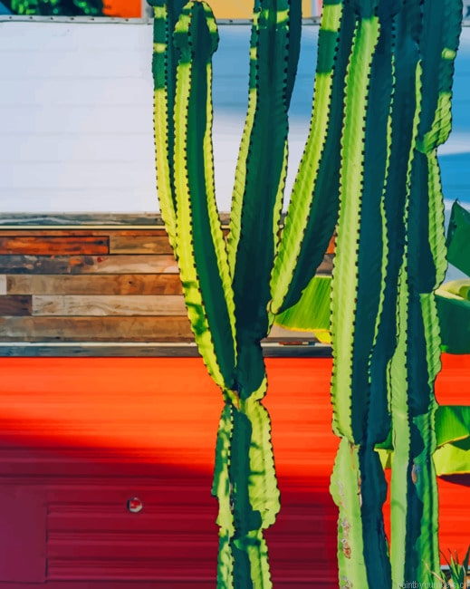 Green Cactus Plants Painting By Numberss.png