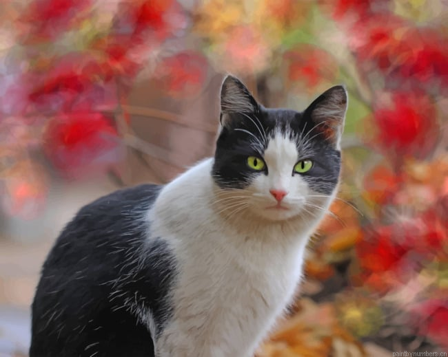 Green Eyed Cat Animals Painting By Numberss.png