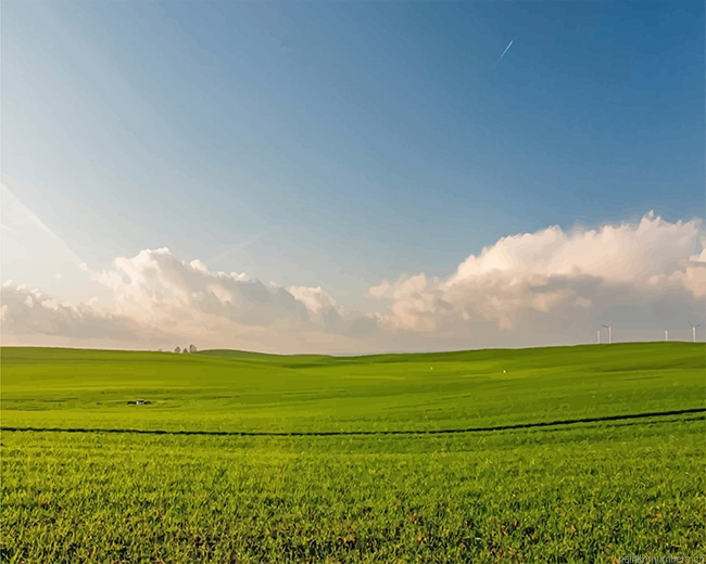 Green Field Nature Painting By Numberss.png
