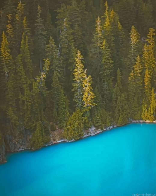 Green Forest New Painting By Numberss.png