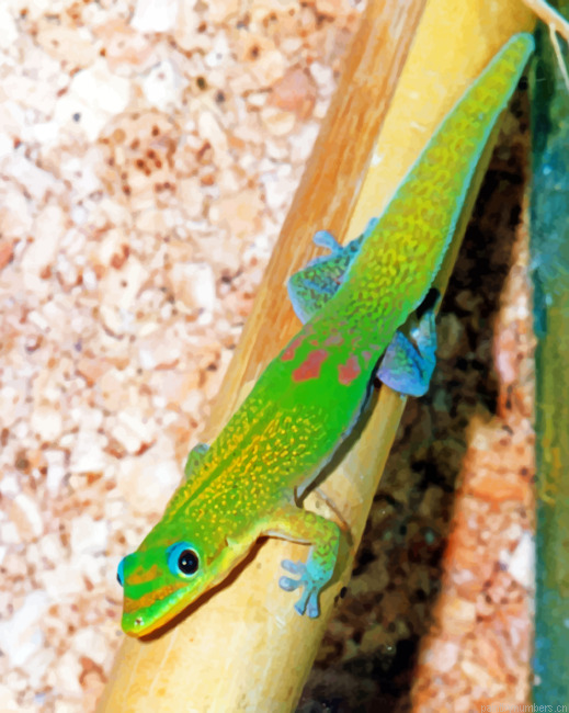 Green Gecko Painting By Numbers.png