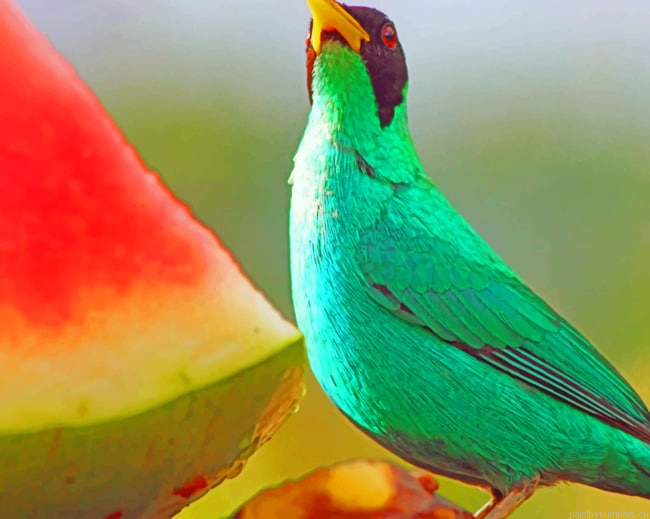 Green Honeycreeper Bird Painting By Numberss.png