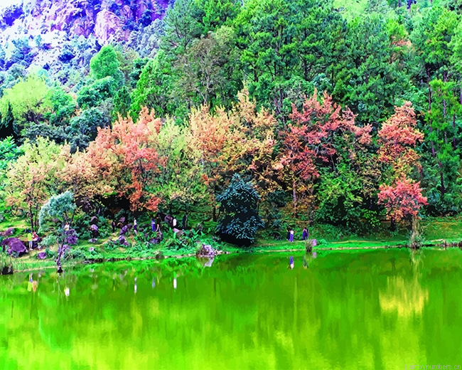 Green Lake Nature Painting By Numberss.png