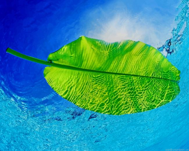 Green Leaf In Water Painting By Numberss.png