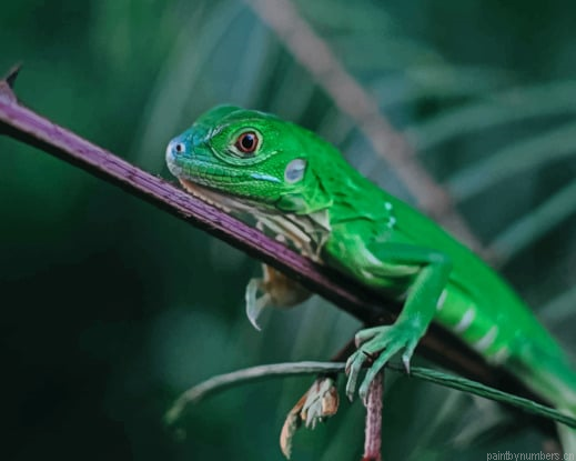 Green Lizard In Tree Branch Animals Painting By Numberss.png