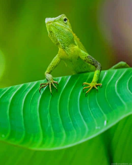 Green Maned Forest Lizard Reptiles Painting By Numberss.png