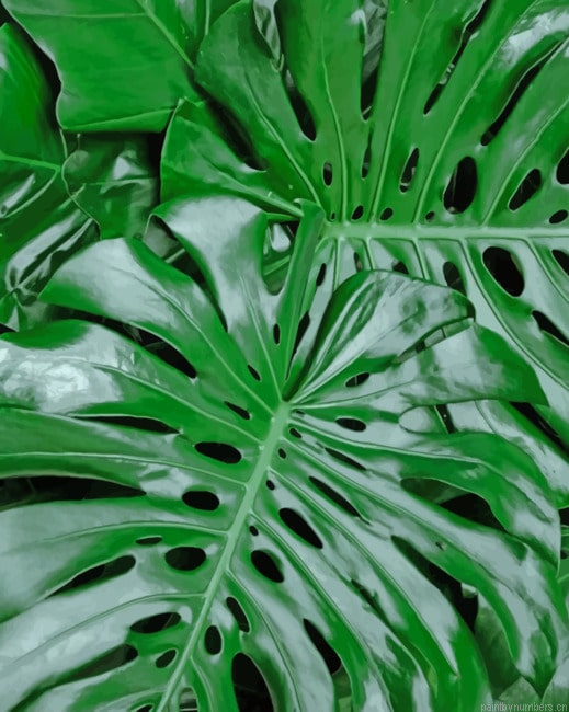 Green Monster Leaves Plants Painting By Numberss.png
