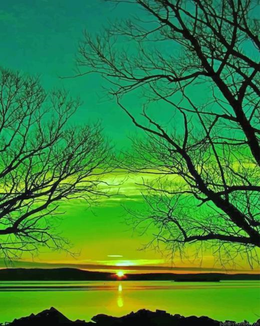 Green Nature Trees Silhouette Landscapes Painting By Numberss.png
