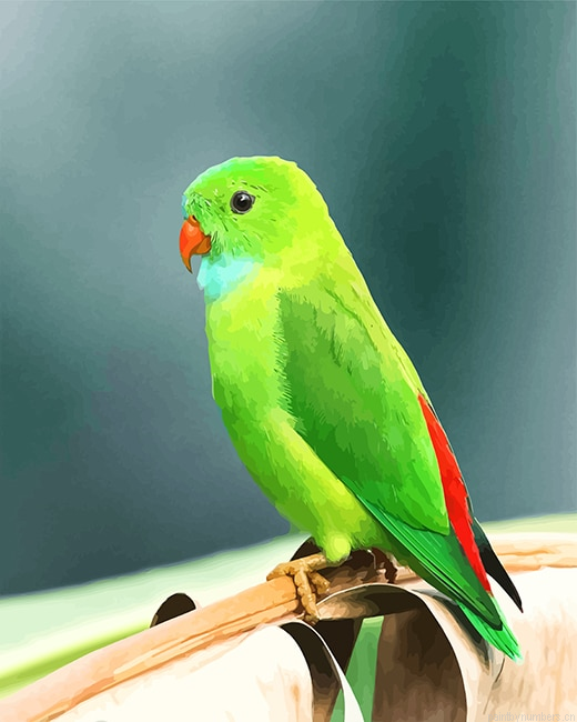 Green Parakeet Birds Painting By Numberss.png
