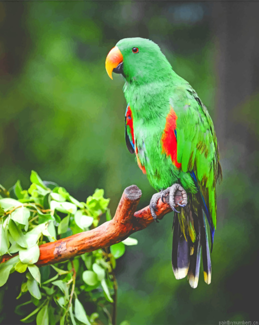 Green Parrot On Tree Branch Birds Painting By Numberss.png