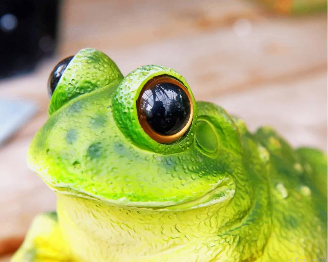 Green Peacock Tree Frog Animals Painting By Numberss.png