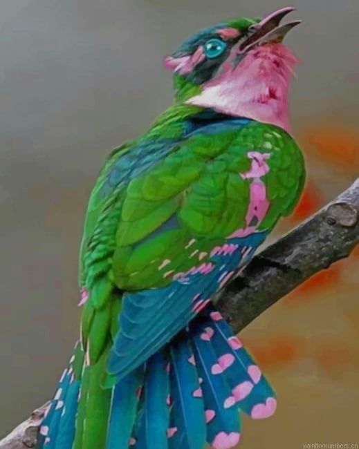 Green Pink Bird Painting By Numberss.png