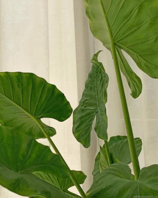 Green Plant Painting By Numberss.png