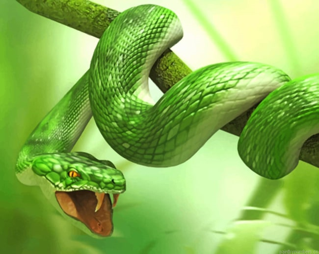 Green Snake Reptiles Painting By Numberss.png