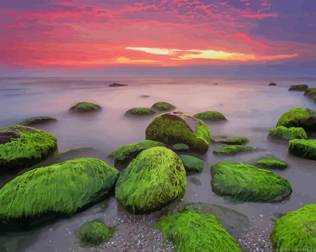 Green Stones Sunset View Painting By Numbers.png