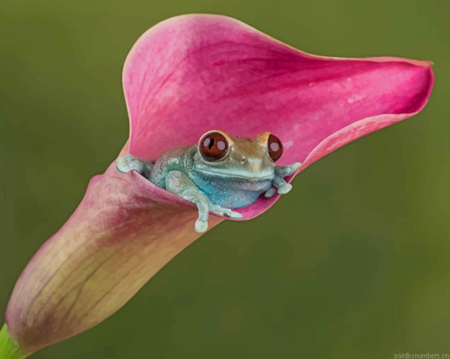 Green Tree Frog On A Pink Calla Lily Painting By Numberss.png