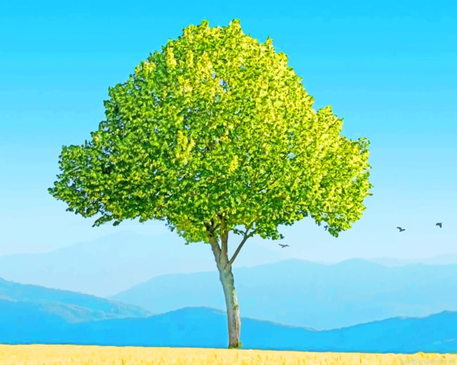 Green Tree Nature Painting By Numberss.png