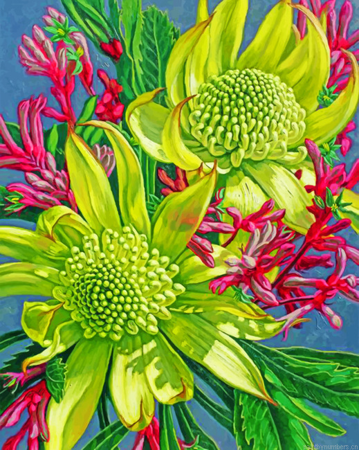 Green Waratahs With Kangaroo Paws Painting By Numbers.png