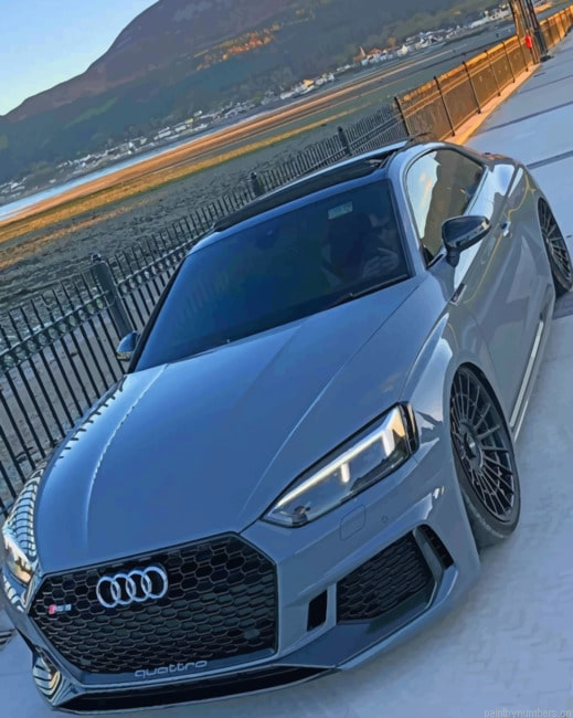 Grey Audi Rs5 Cars Painting By Numberss.png