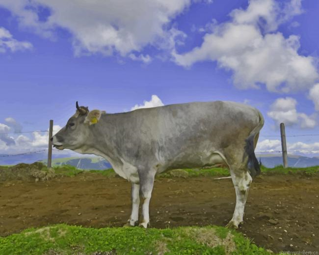Grey Cow On Green Grass Field Animals Painting By Numberss.png