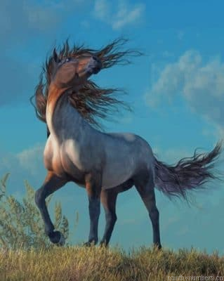 Grey Horse Painting By Numbers.png