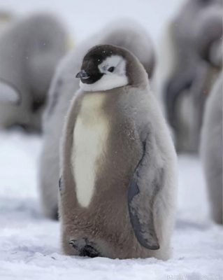 Grey Penguin Painting By Numbers.png