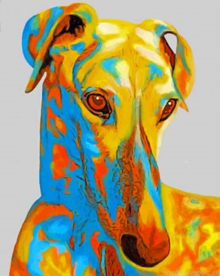 Greyhound Pop Art Painting By Numbers.png