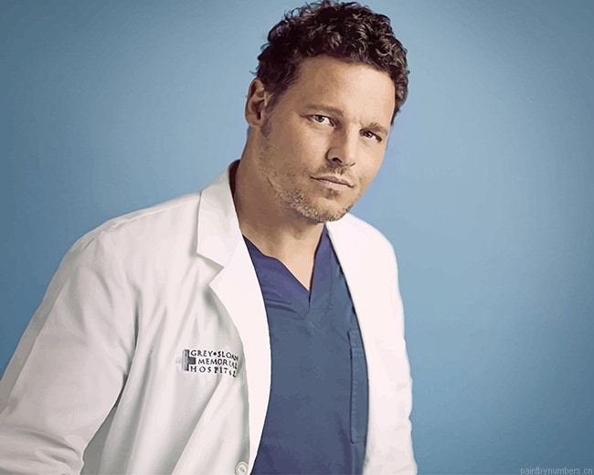 Greys Anatomy Alex Karev Justin Chambers Painting By Numbers.png