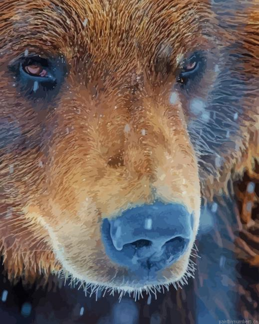 Grizzly Bear Animals Painting By Numberss.png