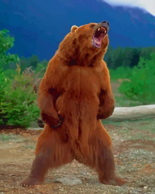 Grizzly Bear Standing Animals Painting By Numberss.png