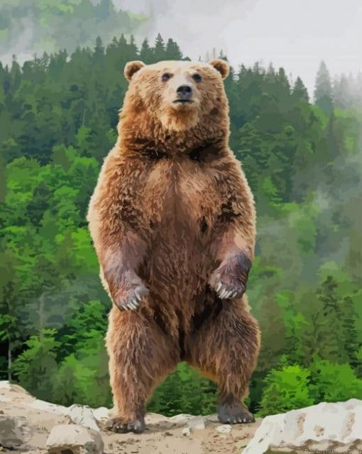 Grizzly Bear Standing Up Animals Painting By Numberss.png