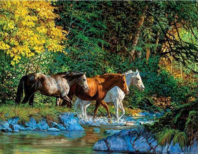 Group Of Horses Cross The River Painting By Numbers.png