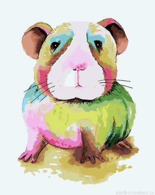 Guinea Pig Animals Painting By Numbers.png