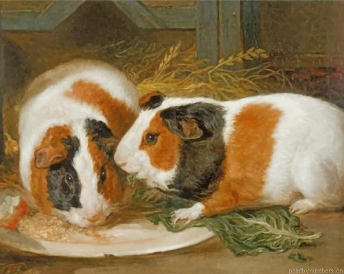 Guinea Pigs Painting By Numbers.png