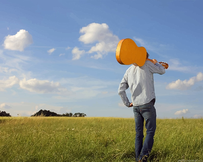 Guitarist In Farm Painting By Numberss.png